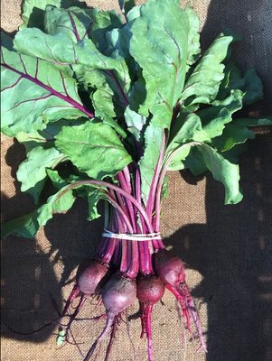 Reno Food Systems by null