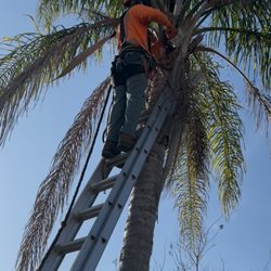 Cruz & Cruz Professional Landscape Services