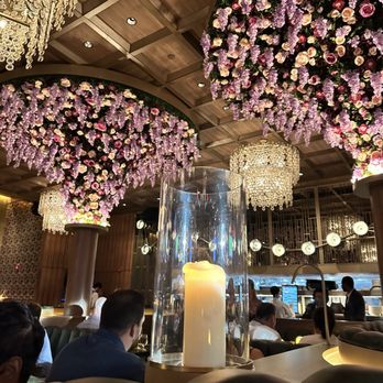 Butcher & Rose - Steakhouses Near Me - Columbus, Ohio