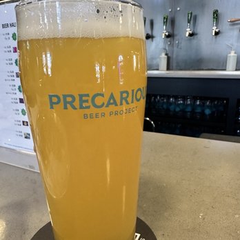 Precarious Beer Project - Jiu Jitsu Shih Tzu - Beer Gardens Near Me - Williamsburg, Virginia