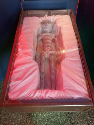 Michigan State Fair by null