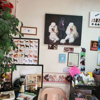 Lori's Pet Grooming - Pet Groomers Near Me - Phoenix, Arizona Lori's Pet Grooming - Pet Groomers Near Me - Phoenix, Arizona