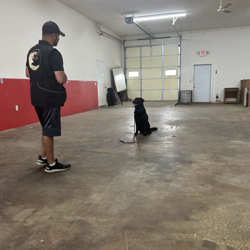 Ultimate K9 Training - Thaer and Banjo - Pet Training Near Me - St. Peters, Missouri Ultimate K9 Training - Thaer and Banjo - Pet Training Near Me - St. Peters, Missouri