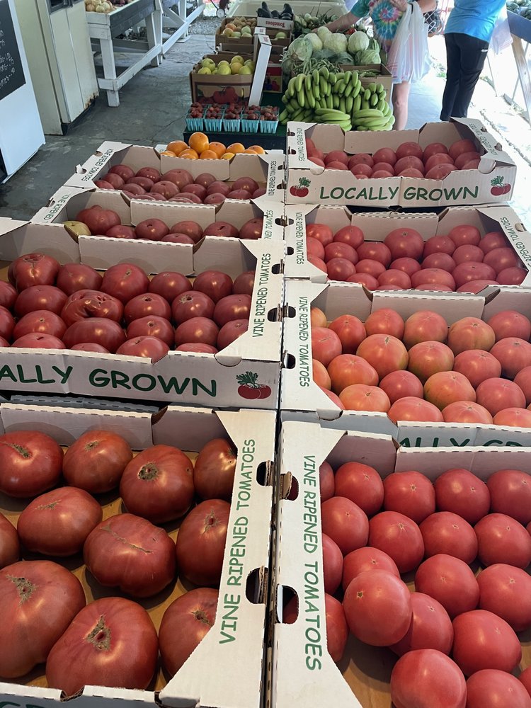 MCNEIL’S PRODUCE Updated August 2024 8750 Highway 100, Nashville