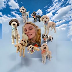 Pampered Pooch Farms