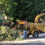 Photo of F&B Tree Service