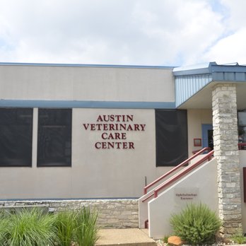 Eye Care for Animals - Austin - Veterinarians Near Me - Austin, Texas Eye Care for Animals - Austin - Veterinarians Near Me - Austin, Texas