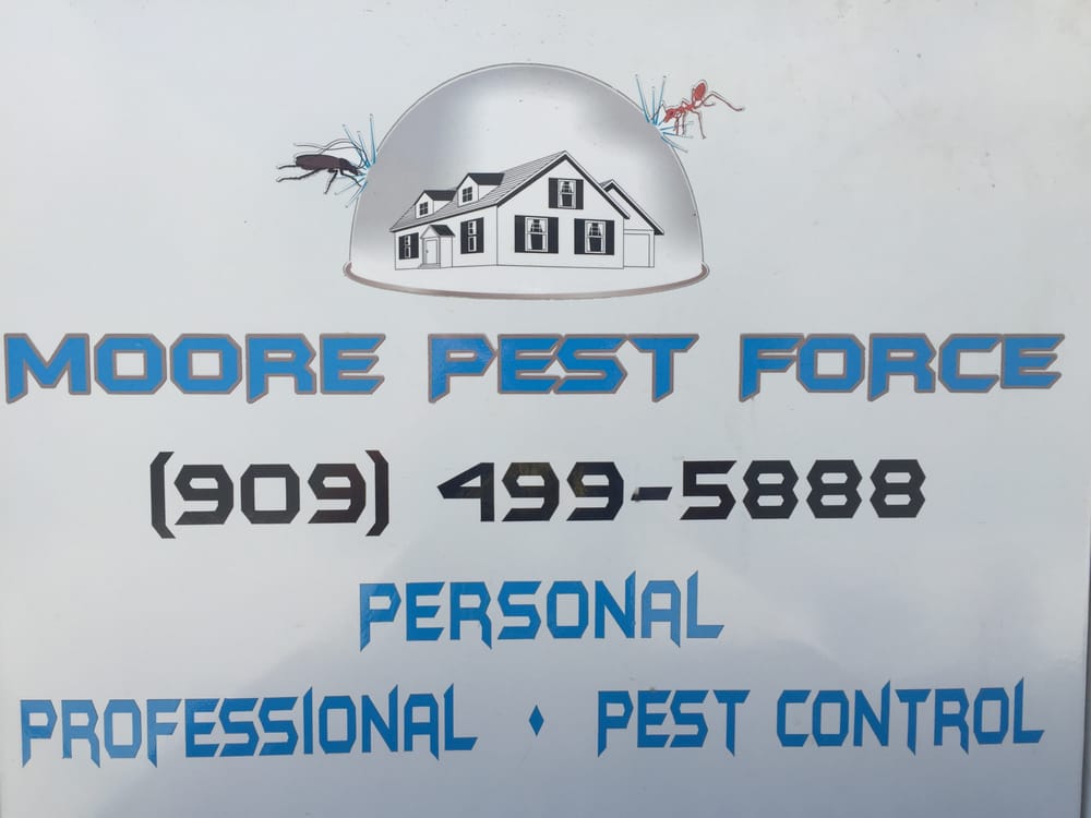 MOORE PEST FORCE Updated August 2024 Yucaipa, California Pest
