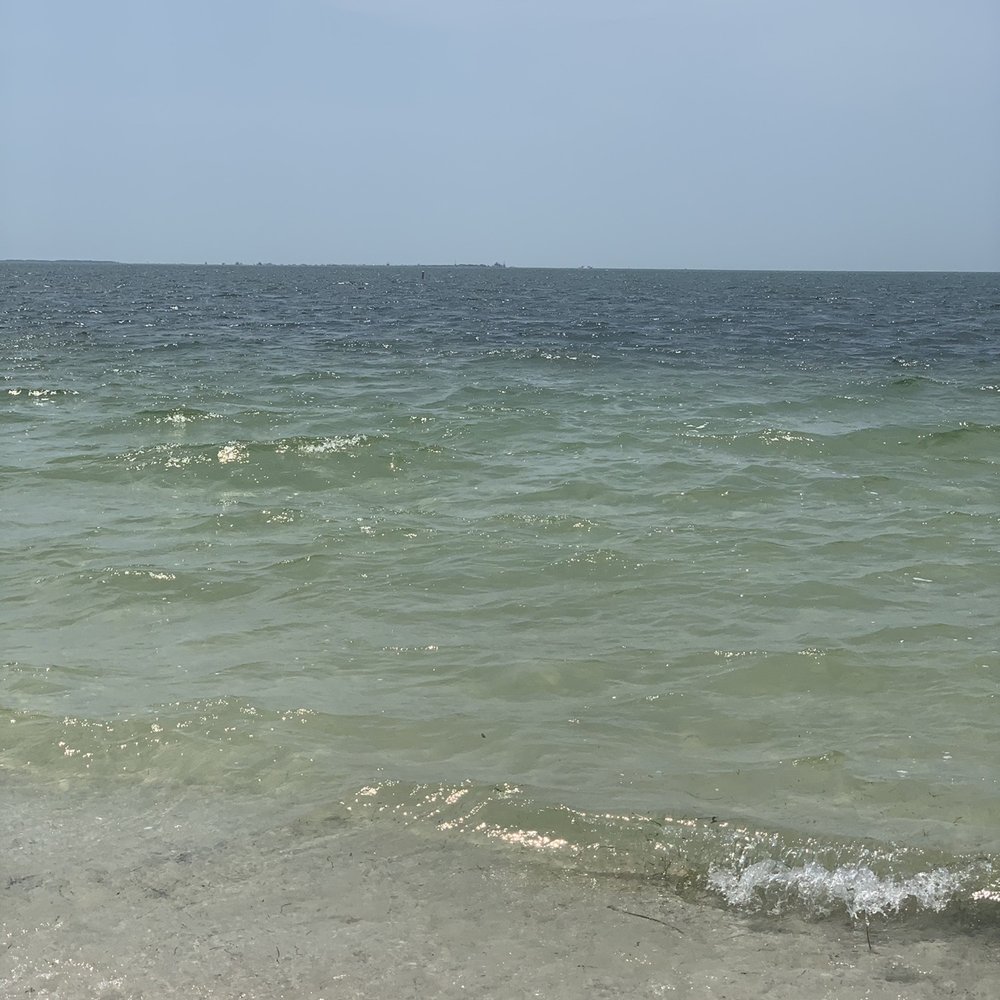 Fred Howard Park - Parks Near Me - Tarpon Springs, Florida Fred Howard Park - Parks Near Me - Tarpon Springs, Florida