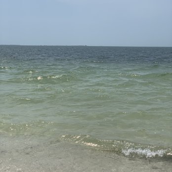 Fred Howard Park - Parks Near Me - Tarpon Springs, Florida Fred Howard Park - Parks Near Me - Tarpon Springs, Florida