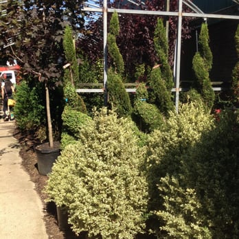 Milena's Garden Center - Nurseries & Gardening Near Me - New Hyde Park, New York Milena's Garden Center - Nurseries & Gardening Near Me - New Hyde Park, New York