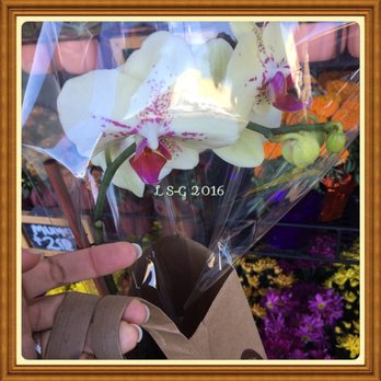 Trader Joe's - Got this pretty 'puppy' for my dinner date tonight - Grocery Near Me - Plano, Texas