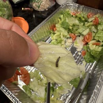Mr. Gee's - Salad with worms - Greek Near Me - Chicago, Illinois Mr. Gee's - Salad with worms - Greek Near Me - Chicago, Illinois