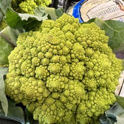 Fiddleheads Food Co-op