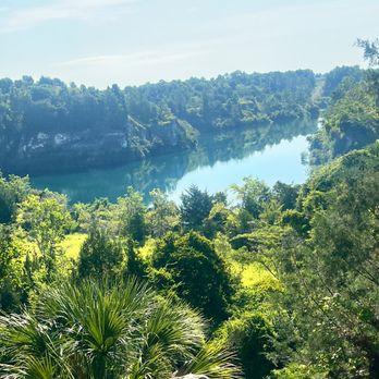 The Canyons Zip Line & Canopy Tours - Tours Near Me - Ocala, Florida