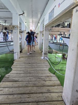 Bud N' Mary's Fishing Marina