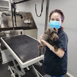Pet Grooming 2u