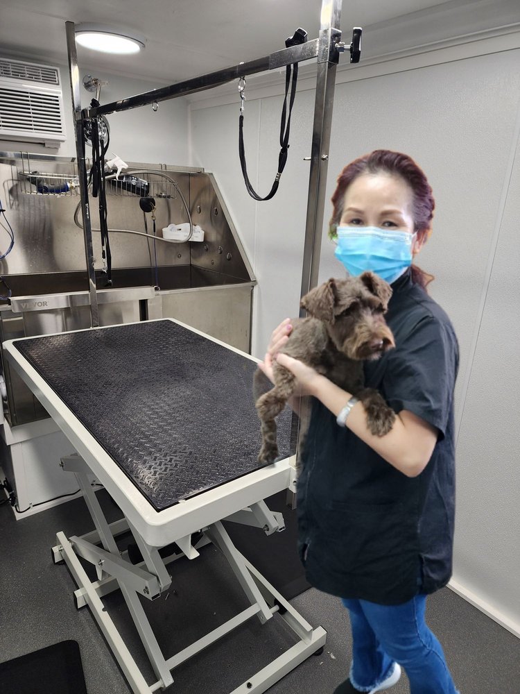 PET GROOMING 2U Updated September 2024 15 Photos Weatherford