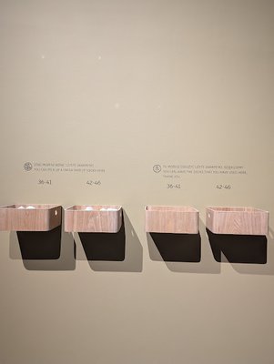 Manggha Museum of Japanese Art and Technology by null