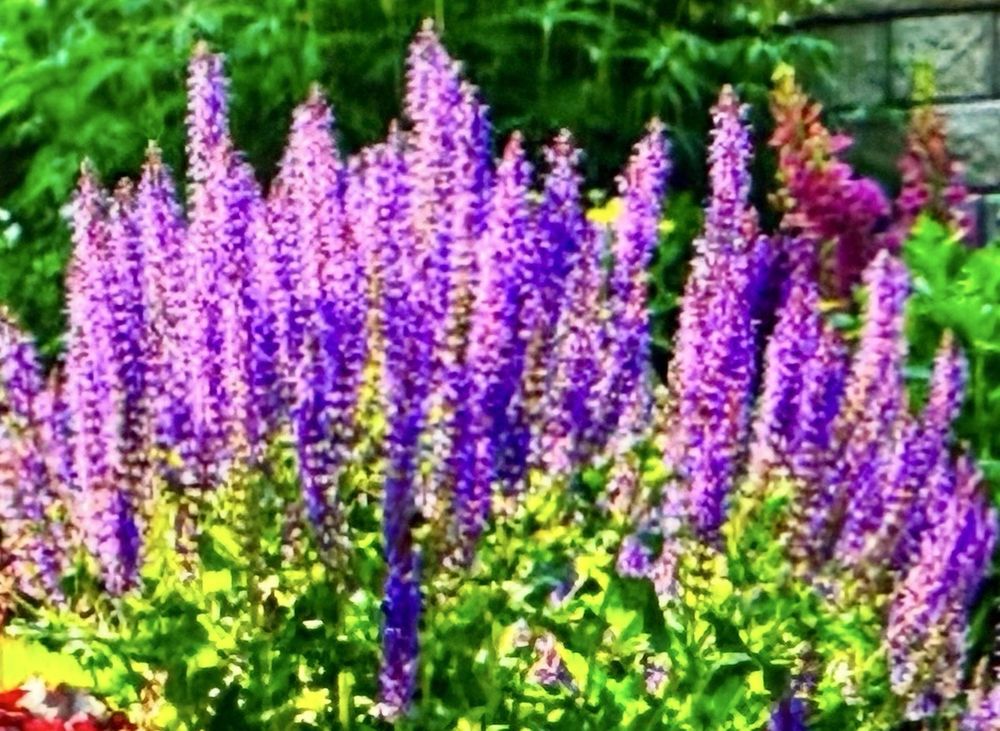 Slide of Green Landscaping