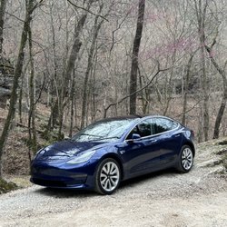 Tesla Taxi