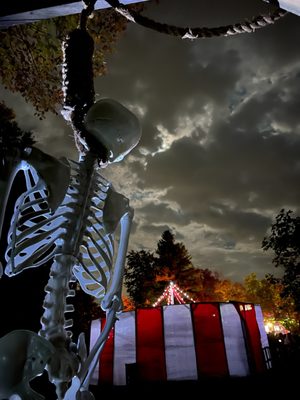 Haunted Gallows by null