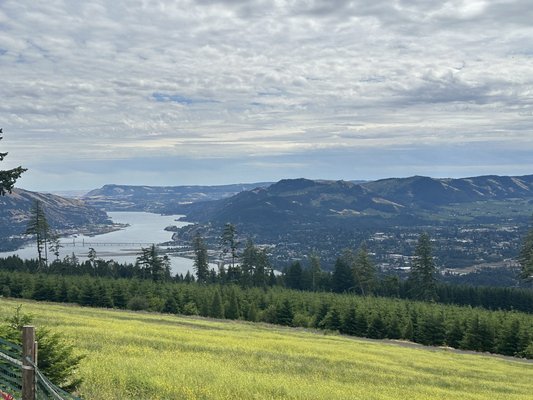 South Hill Winery by null