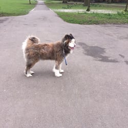 Lammas Park Play Centre - First walk in my new neighbourhood