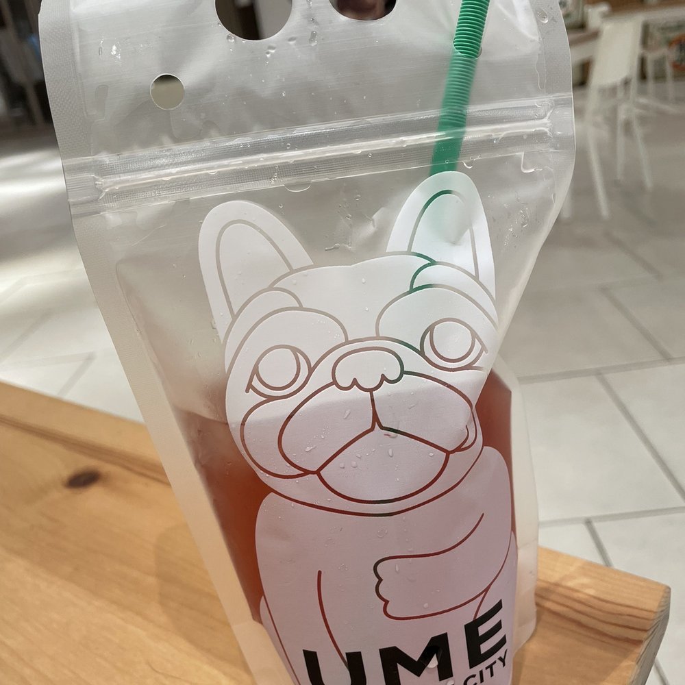 Tojo Kitchen - Ramen Near Me - Paramus, New Jersey Tojo Kitchen - Ramen Near Me - Paramus, New Jersey