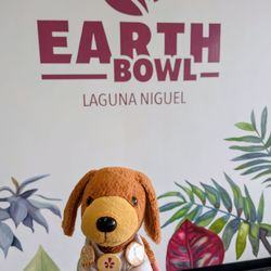 Earth Bowl, Laguna Niguel. 7/26/26