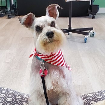SKD Print, Pak and Ship - Chewy is happy to help you! - Shipping Centers Near Me - Crossville, Tennessee SKD Print, Pak and Ship - Chewy is happy to help you! - Shipping Centers Near Me - Crossville, Tennessee