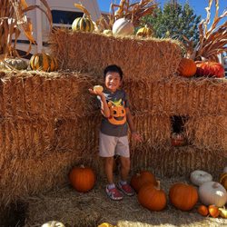 Pick of The Patch Pumpkins & ABC Tree Farms