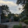 Photo of North Atlanta Tree Care