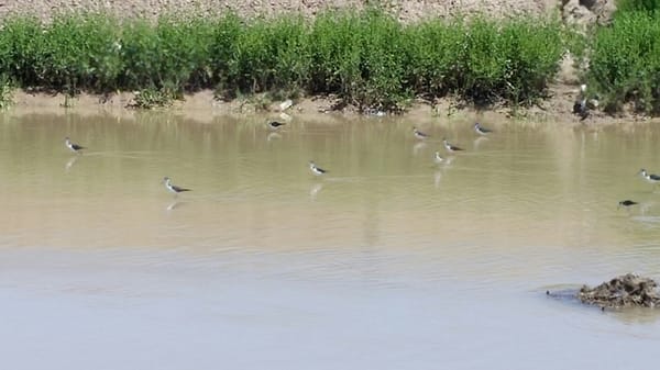 Rio Bosque Park by null