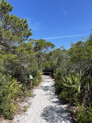 Henderson Beach State Park by null