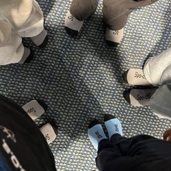 Spocha socks crew
