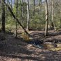 Photo of Jennings State Forest