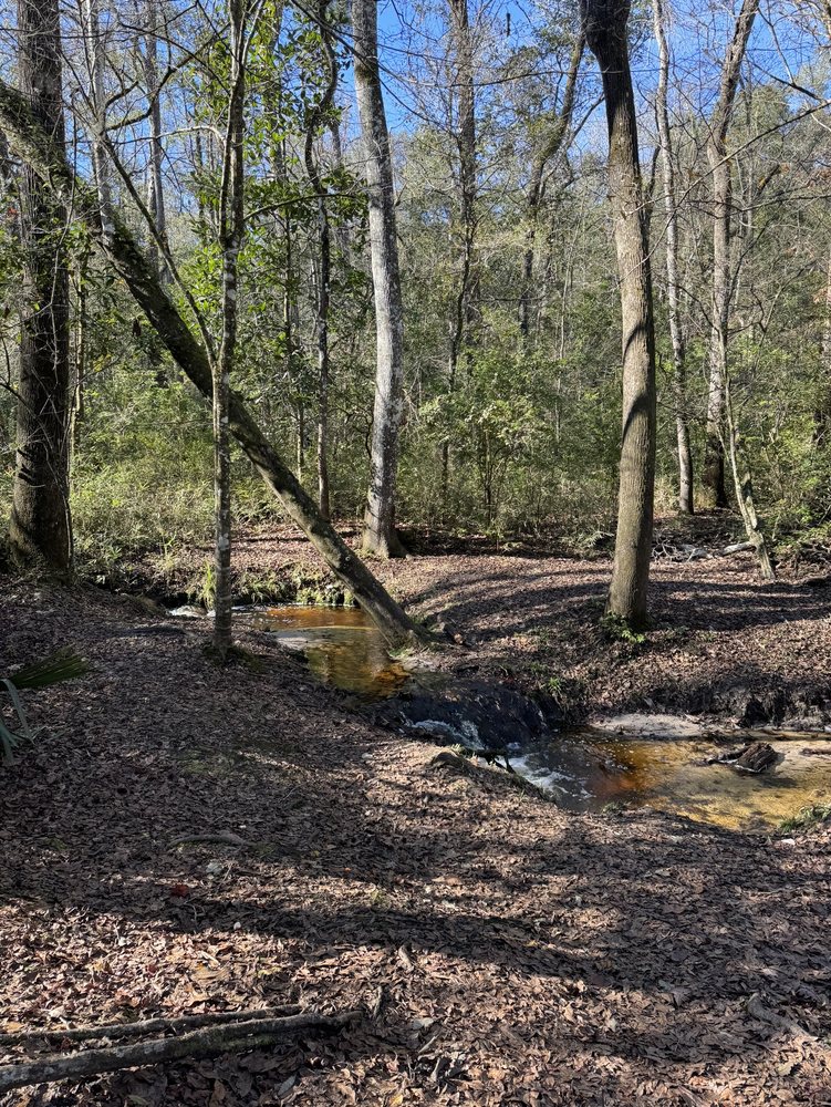 Jennings State Forest Image