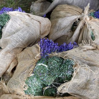 Lavender by the Bay - Lavender bales - Pick Your Own Farms Near Me - East Marion, New York Lavender by the Bay - Lavender bales - Pick Your Own Farms Near Me - East Marion, New York