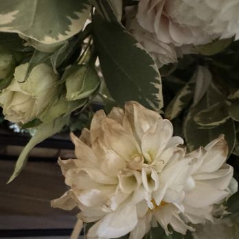 My Glendale Florist - Florists Near Me - Glendale, California My Glendale Florist - Florists Near Me - Glendale, California