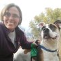 Photo of Dog Walking Pals