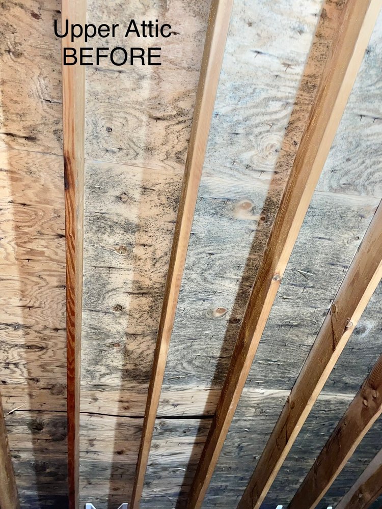 CPS Mold Services - mold inspector in Elmhurst, IL