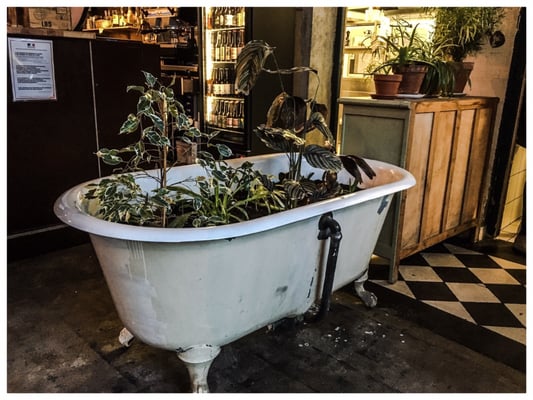 Le Bieristan by null