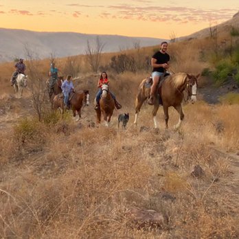 Baja By Horse - Horseback Riding Near Me - La Misión, BCN