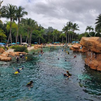 Discovery Cove - Amusement Parks Near Me - Orlando, Florida