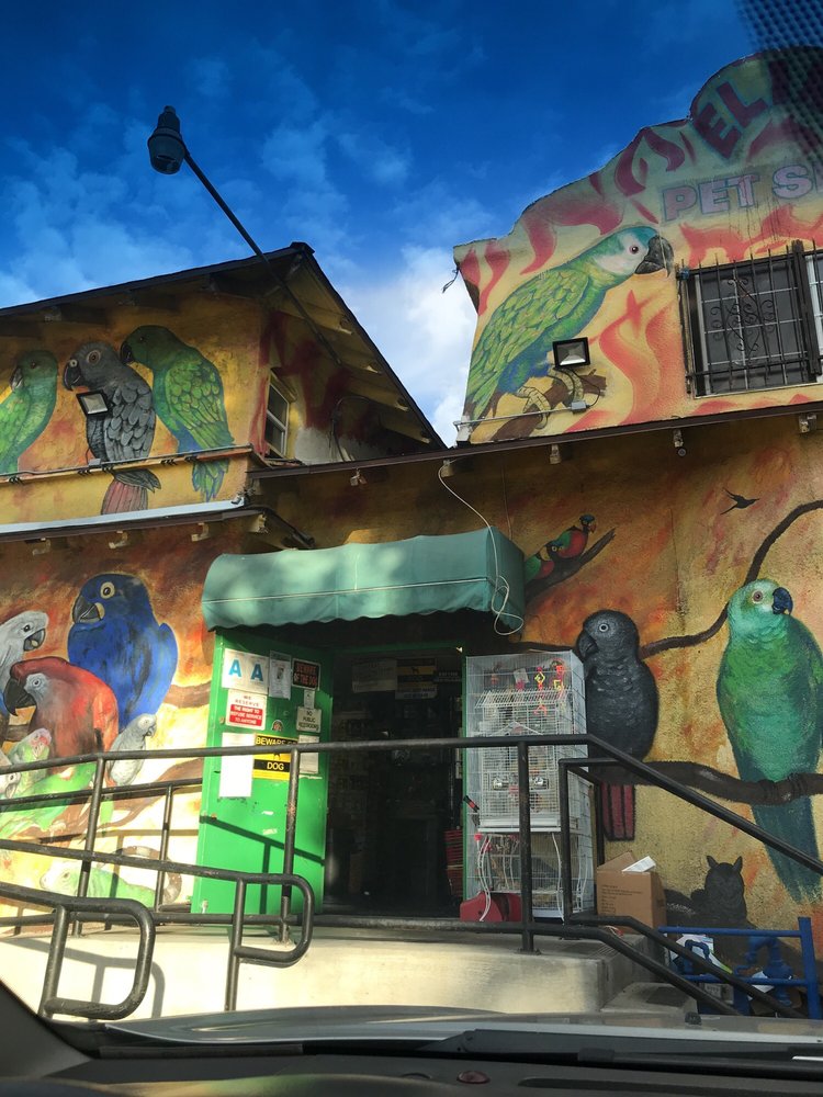 ELIA’S PET SHOP 43 Photos & 52 Reviews Pet Stores 1808 E Florence