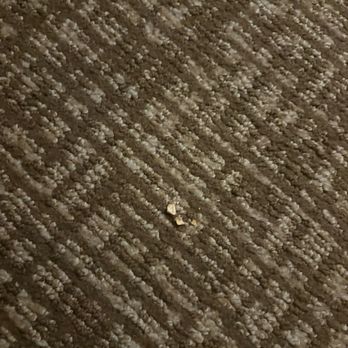 Comfort Suites - Dirty carpet when I came into the room for the first time - Hotels Near Me - Kyle, Texas Comfort Suites - Dirty carpet when I came into the room for the first time - Hotels Near Me - Kyle, Texas