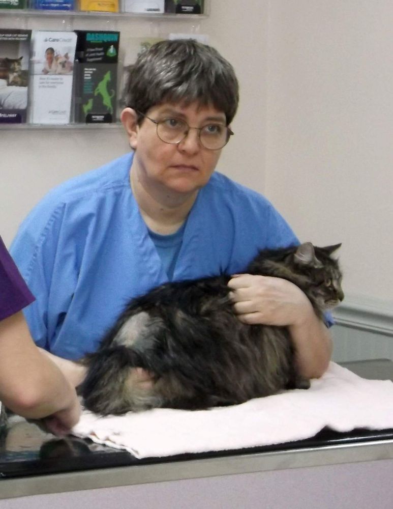 ST FRANCIS ANIMAL HOSPITAL Updated October 2024 308 Primrose Ln