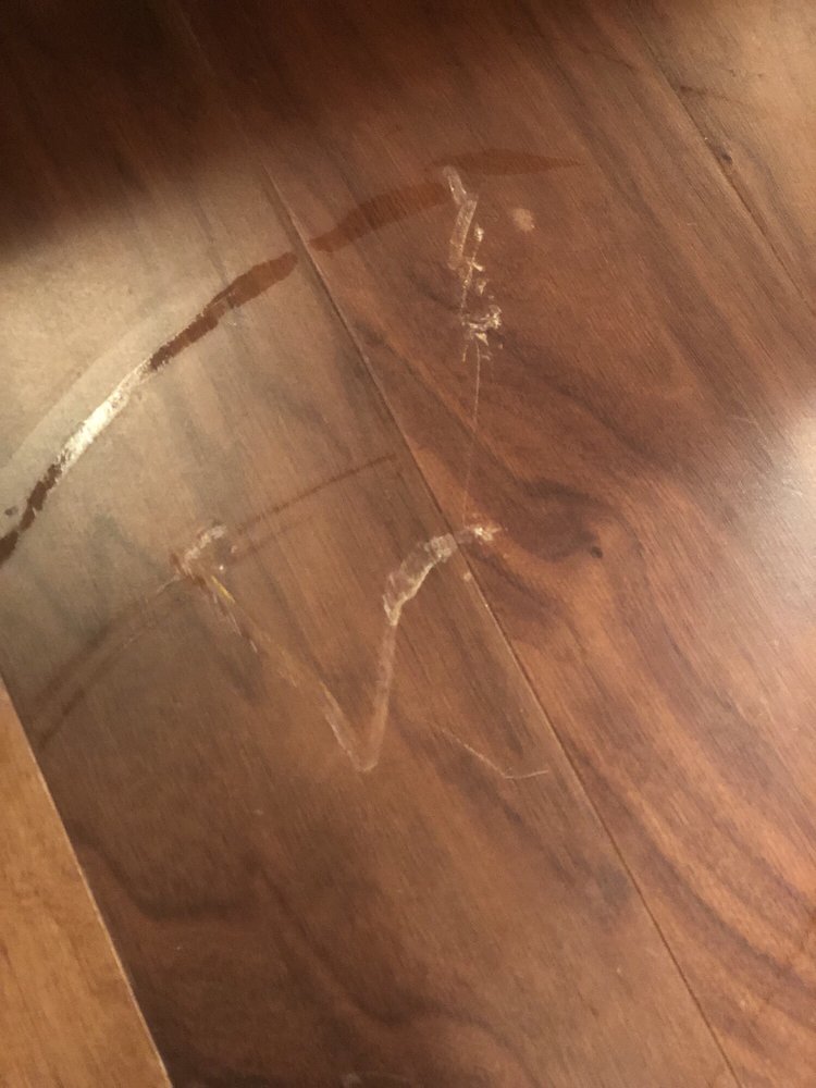 BRIDGEVILLE APPLIANCE with reviews Updated September 2024 31 Reviews 532 Washington Ave