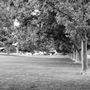 Photo of Netherwood Park